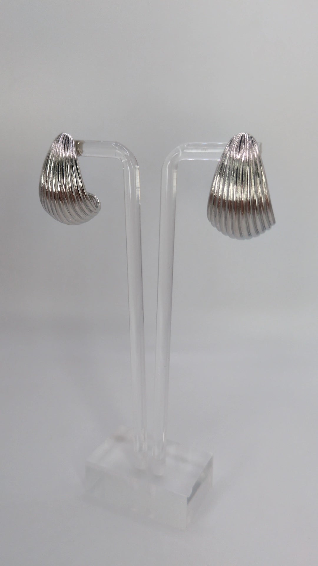 Ribbed Shell Hoop Earrings