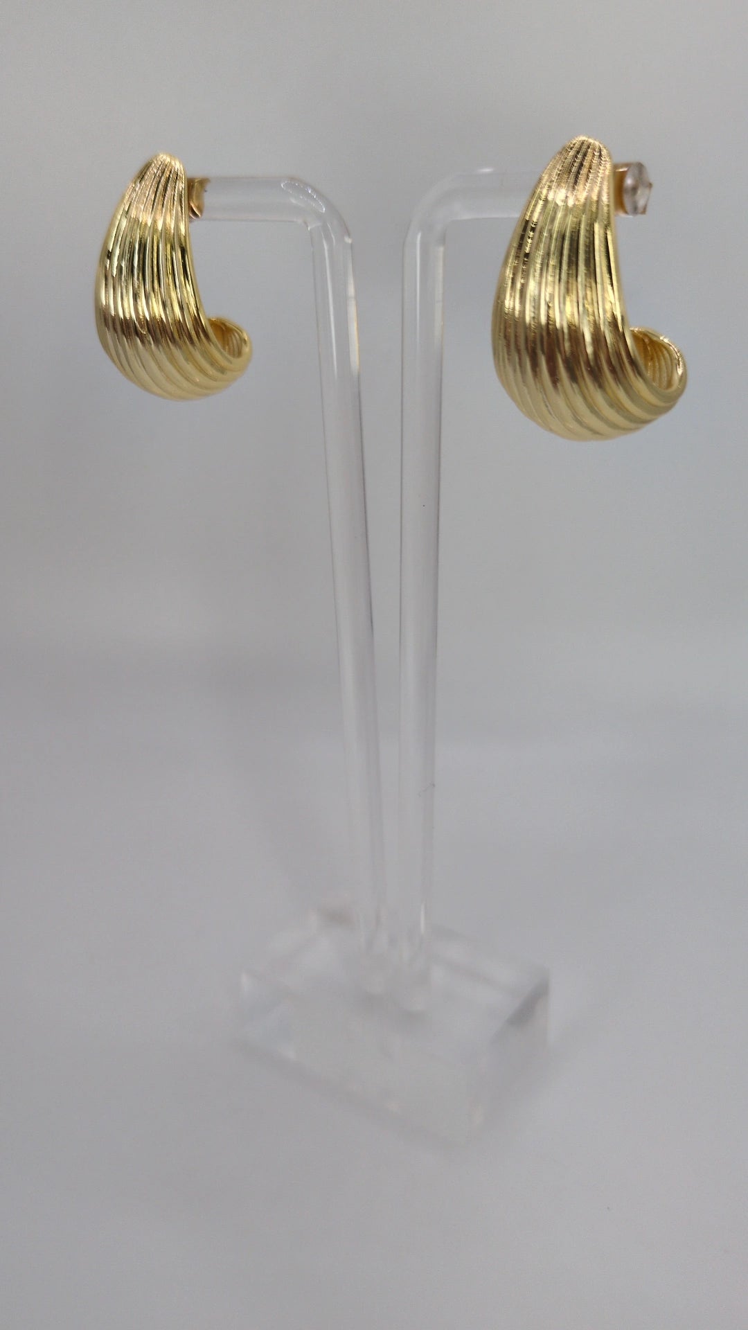 Ribbed Shell Hoop Earrings